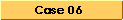 Case 06